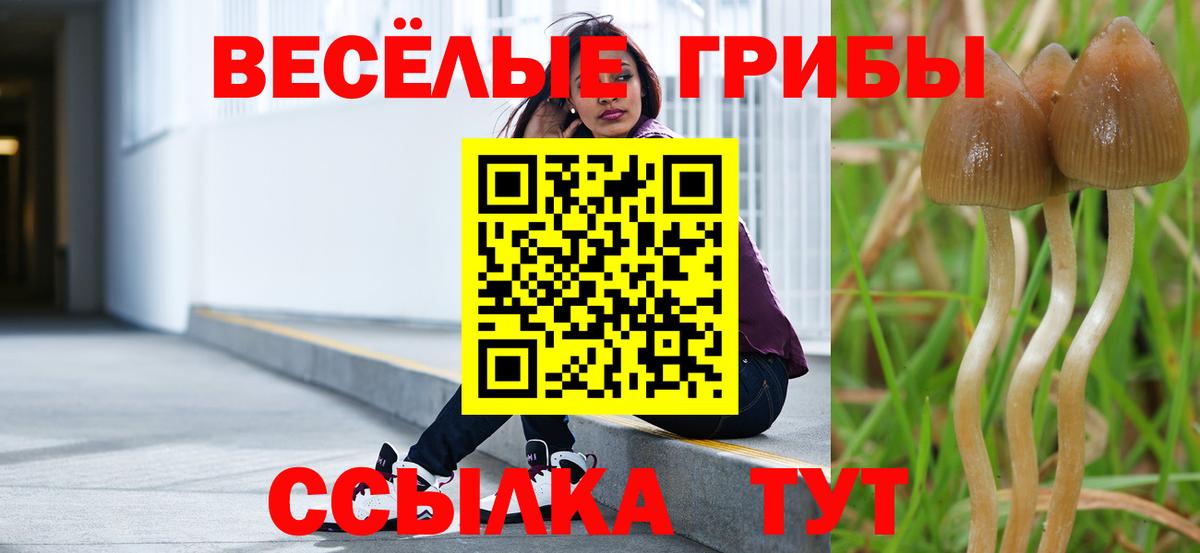 Галлюциногенные грибы MAGIC MUSHROOMS  Вход с VPN  Ивантеевка 
